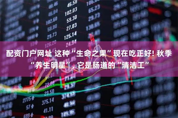 配资门户网址 这种“生命之果”现在吃正好! 秋季“养生明星”, 它是肠道的“清洁工”